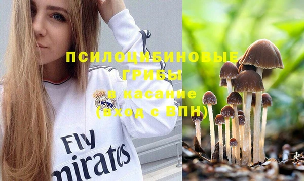 стафф Армянск