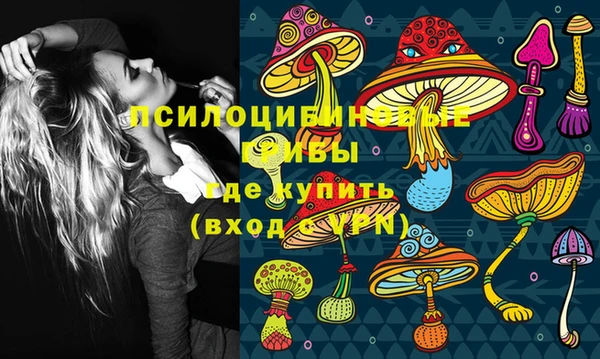 эйфоретик Аркадак
