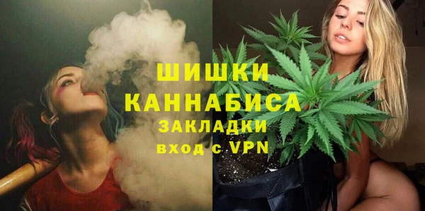 эйфоретик Аркадак